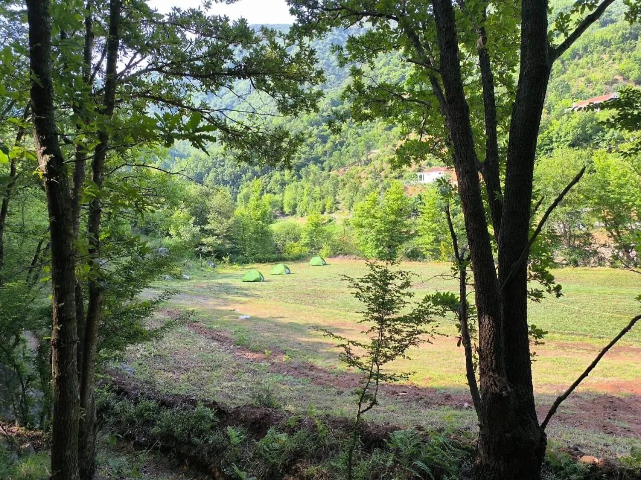 Camping-Baven-Toven Naturae Bulshize
